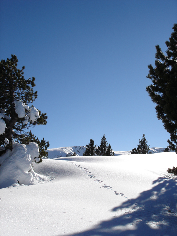 randonnée raquettes mantet pla segala