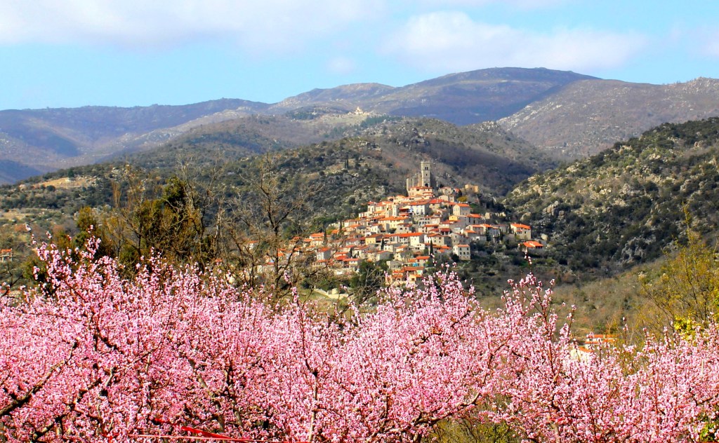 pink valley Pyrenees spring time