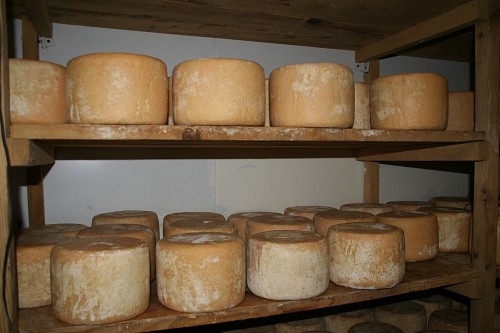 Fromage des Pyrénées Tomme