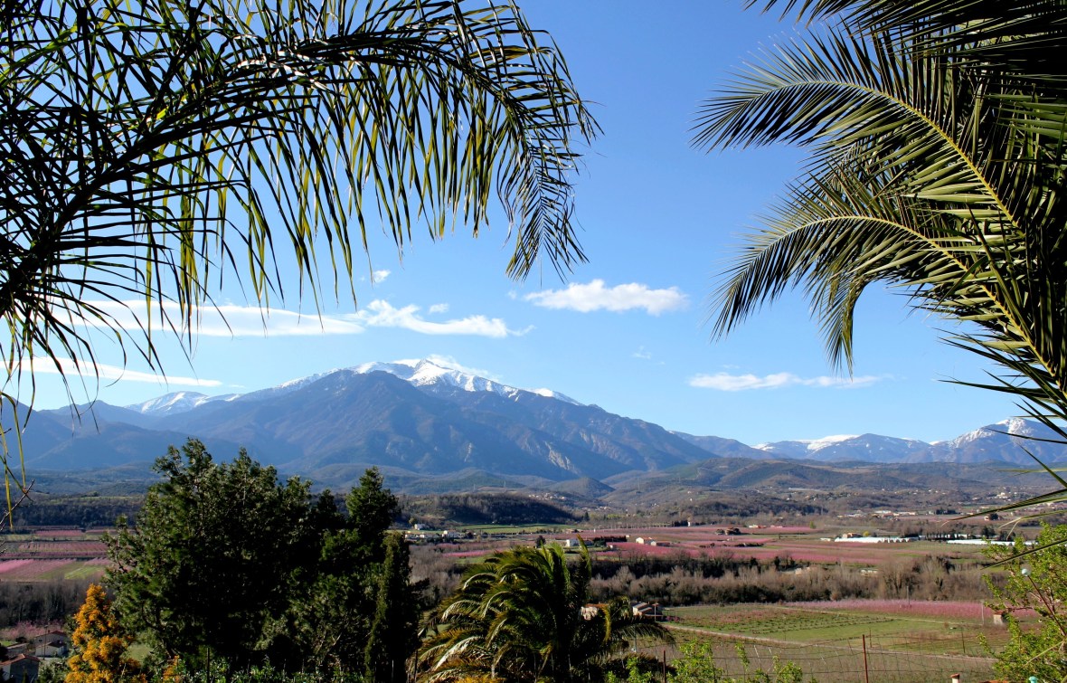 gite face au Canigou