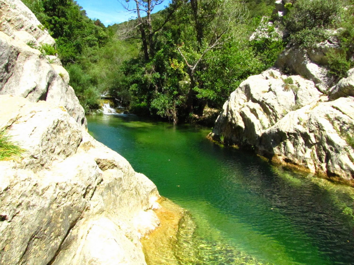 piscine naturelle corbieres sud verdouble moulin ribaute