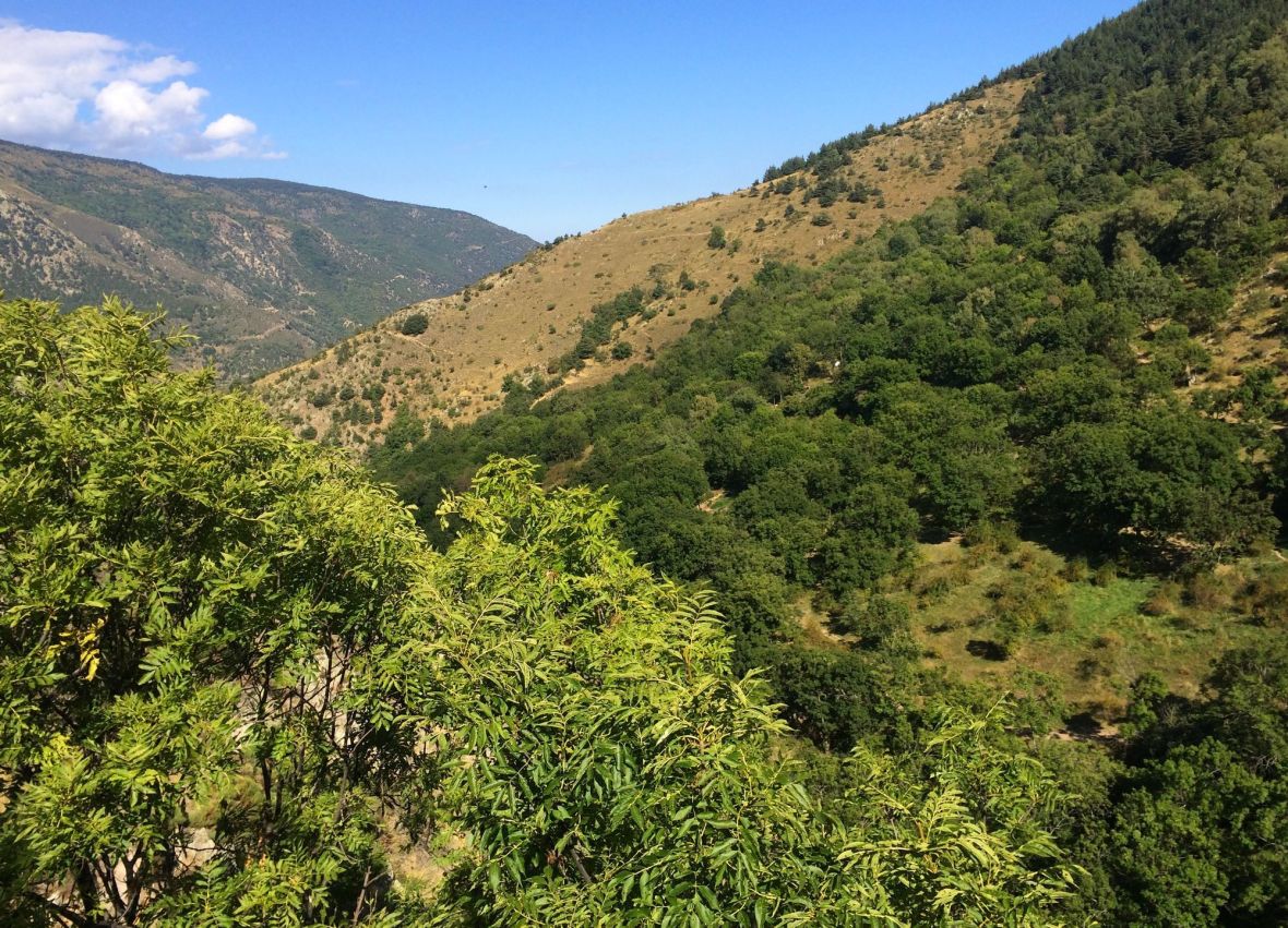 Sources chaudes dans la montagne - Pyrénées Orientales
