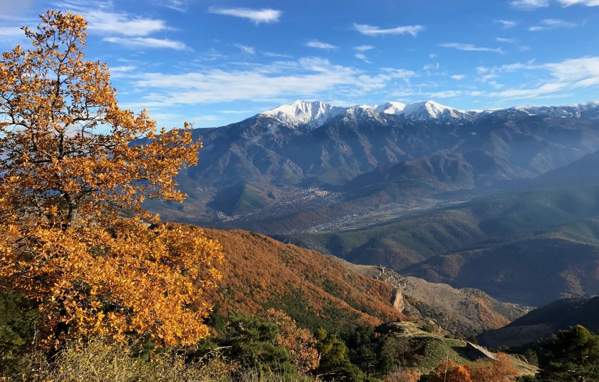 Couleurs d'Automne sur le Canigou 66