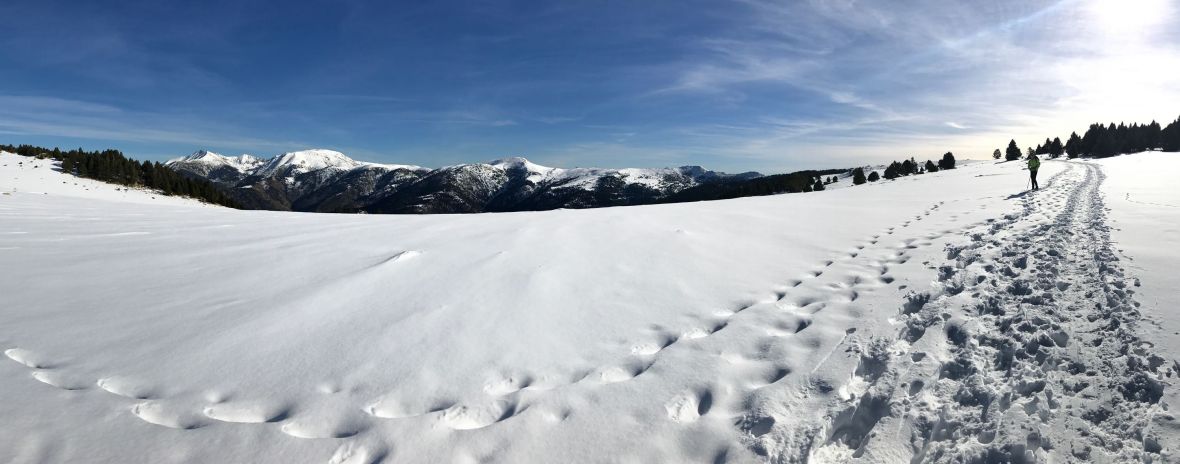 rando-raquette-pla-segala