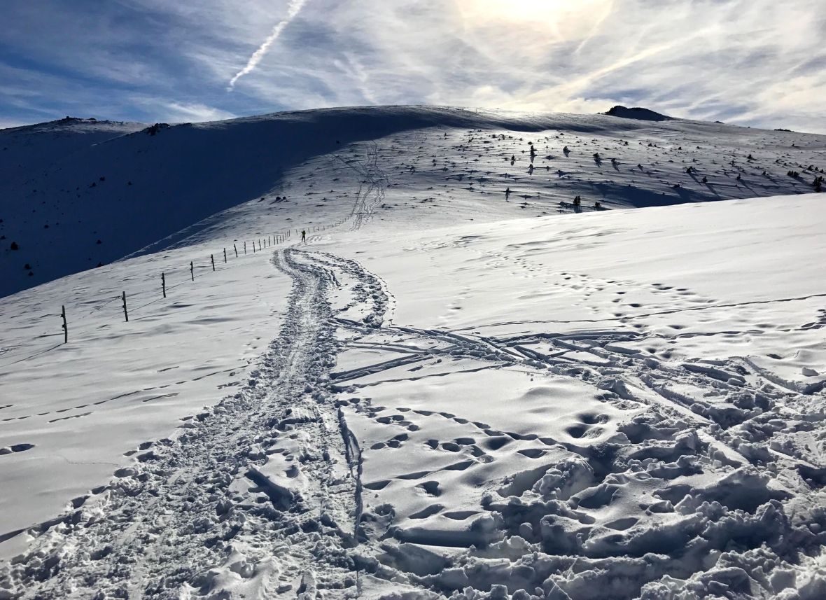 Cime de Pomaroles - Pla Segala - Mantet