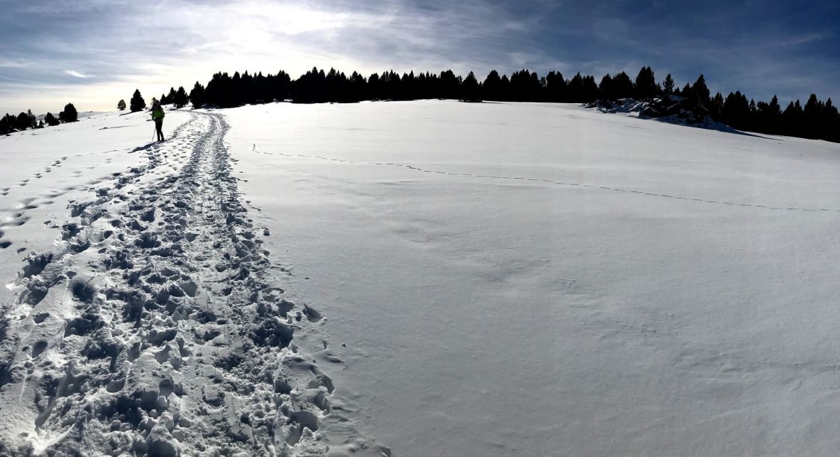 Cime de Pomaroles - Pla Segala - Mantet