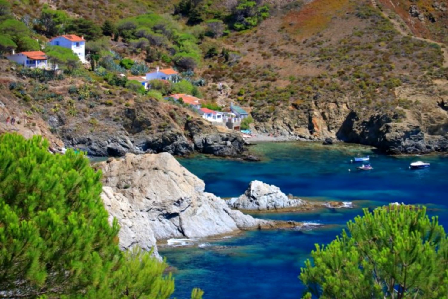 Criques du Sentier marin Port Vendres Banyuls beach cliff collioure