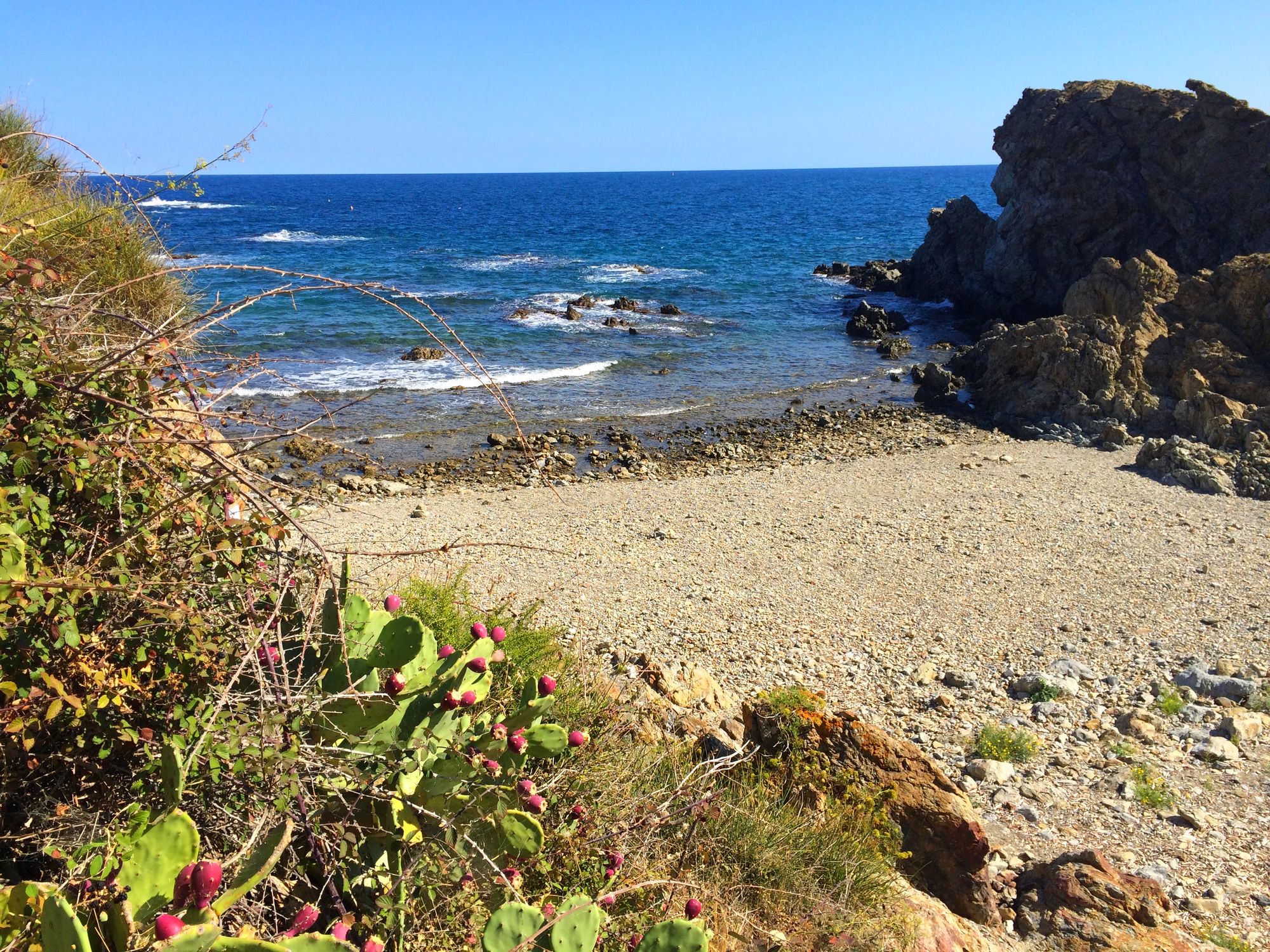 crique secrete taillelauque banyuls cerbere