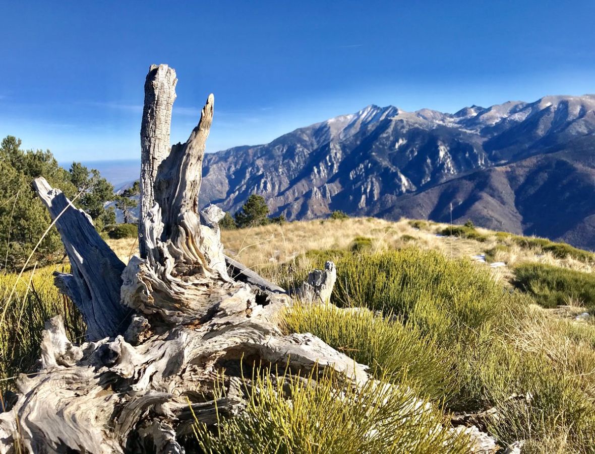 Canigou et Parc Naturel Regional des Pyrenees Catalanes