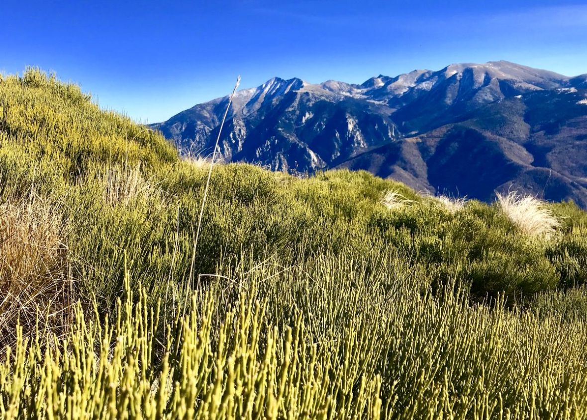 canigou tres estelles mantet vernet