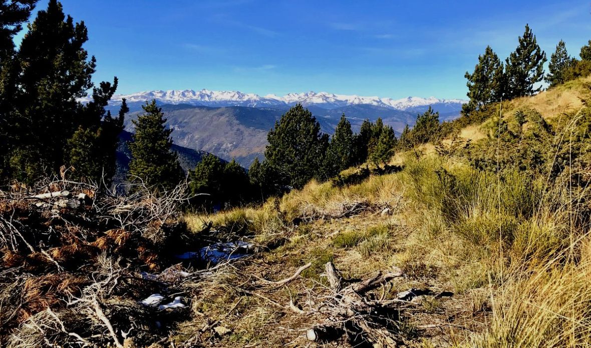Vue sur le Massif du Carlit depuis le pic des Tres Estrellas Pyrenees rando facile
