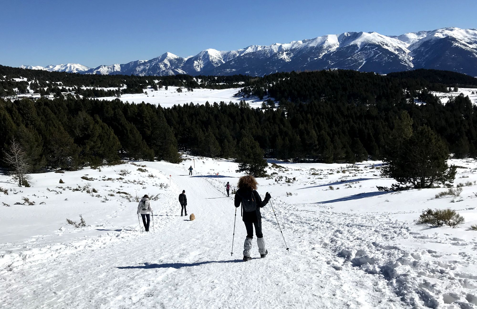 marche nordique font romeu