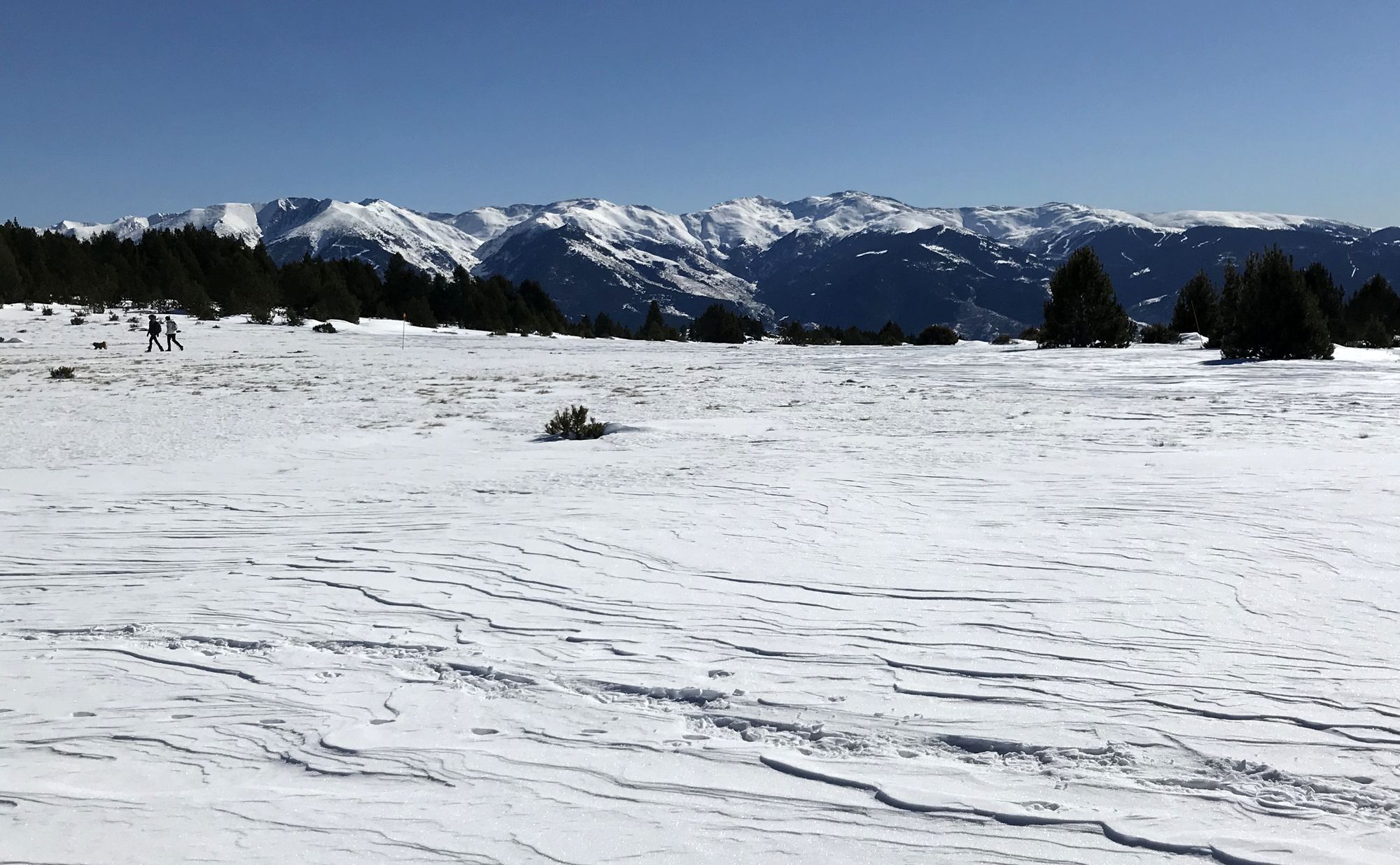marche nordique raquette ski nordique font romeu la calma