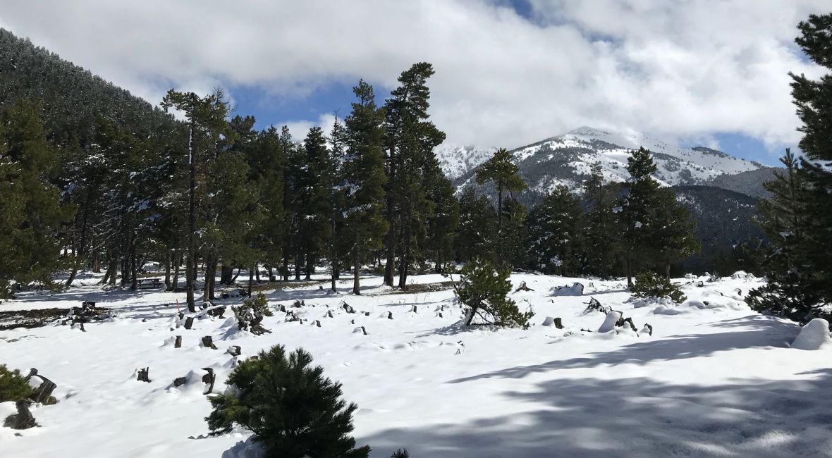Départ randonnée Col de Creu - Estanyols raquette balisé facile capcir madres