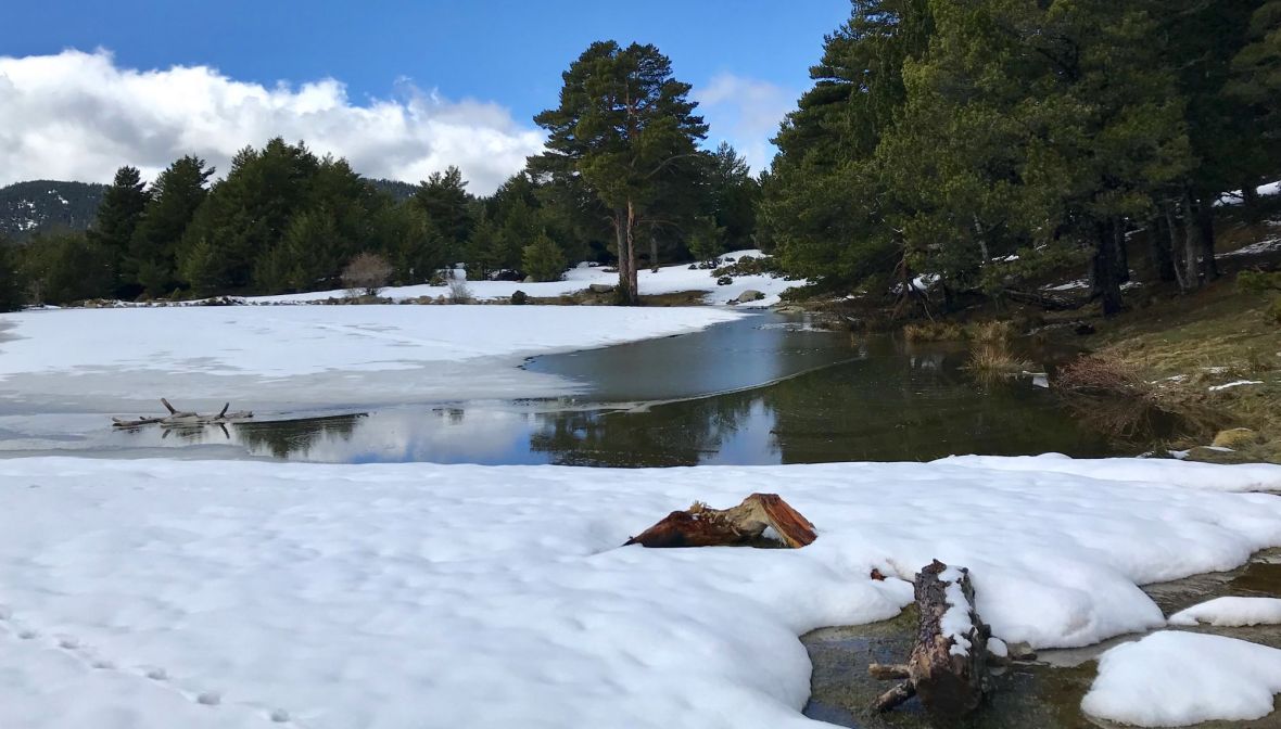 lac pyrenees estanyols