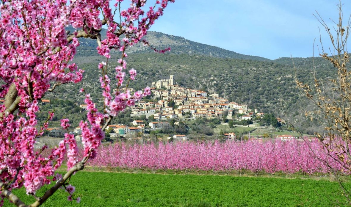 location gite plus beau villages de france pecher en fleur printemps