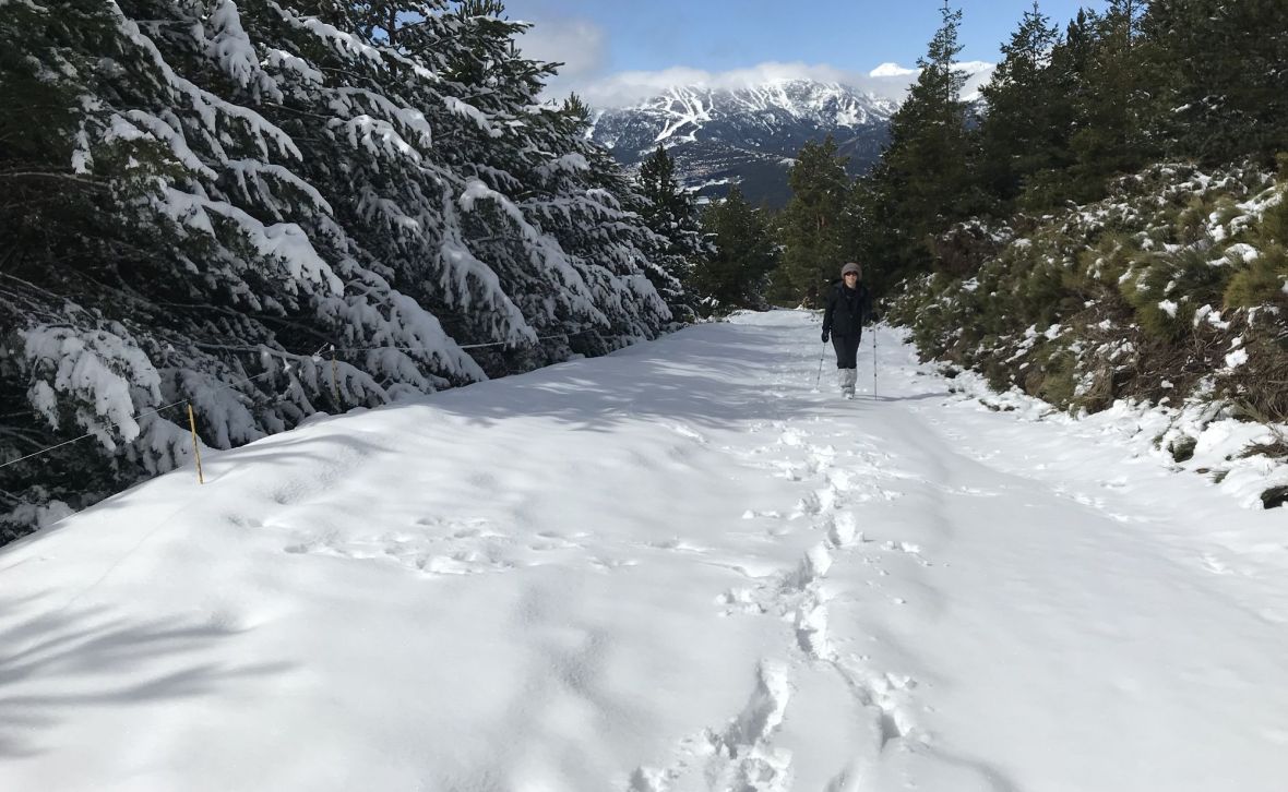 randonnee raquette col sansa estanyols