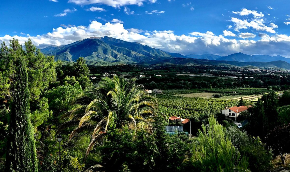Vue sur le Canigou depuis la Casa ilicia Maison d'Hôtes à Eus
