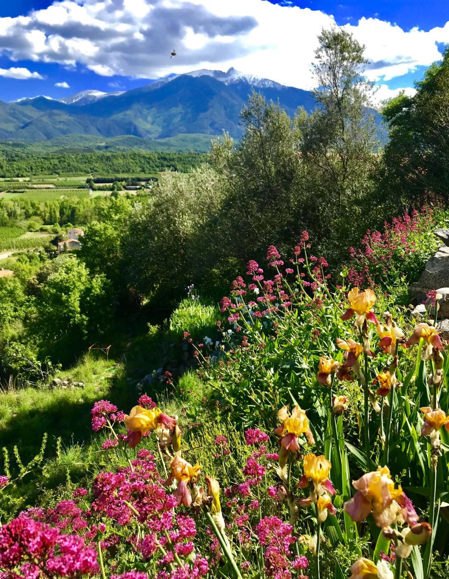 gite canigou prades vernet
