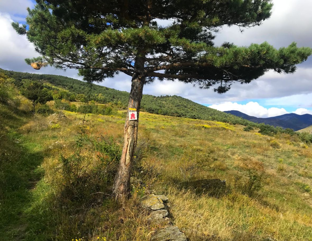 sentier canaveilles llar chemin des canons