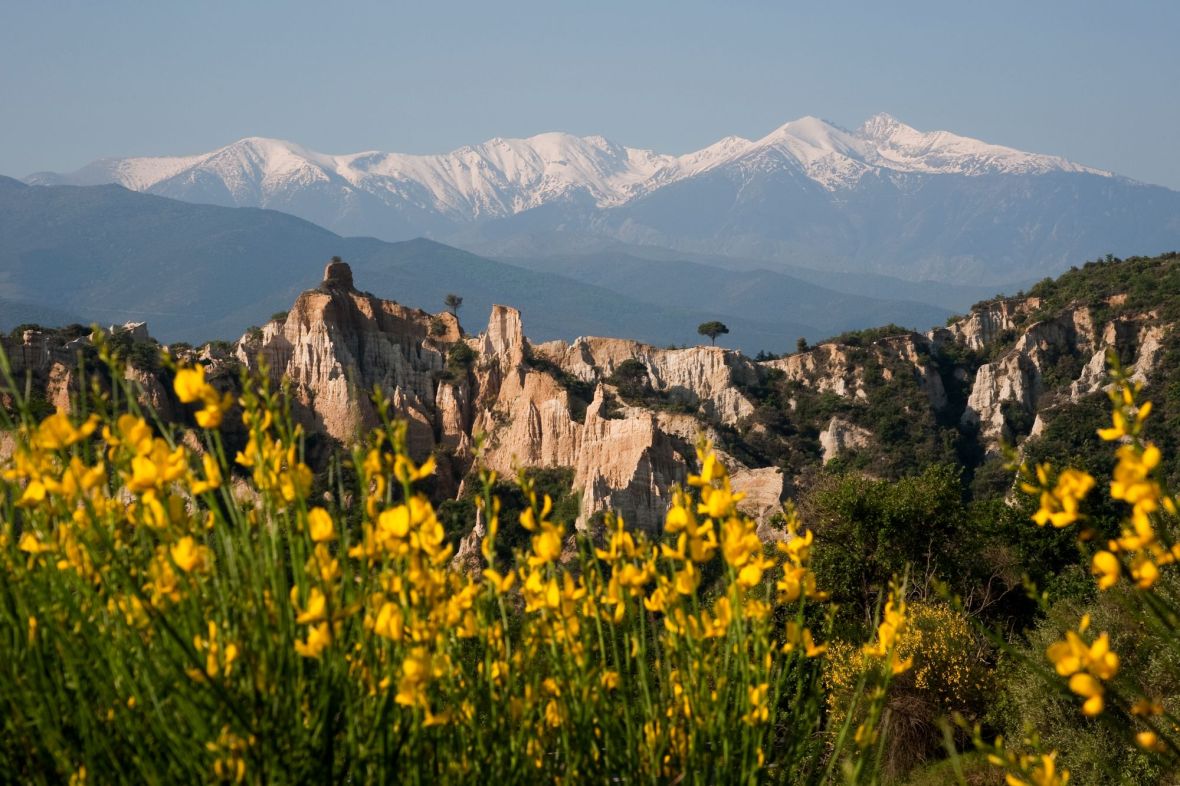 visite tarifs ille orgues