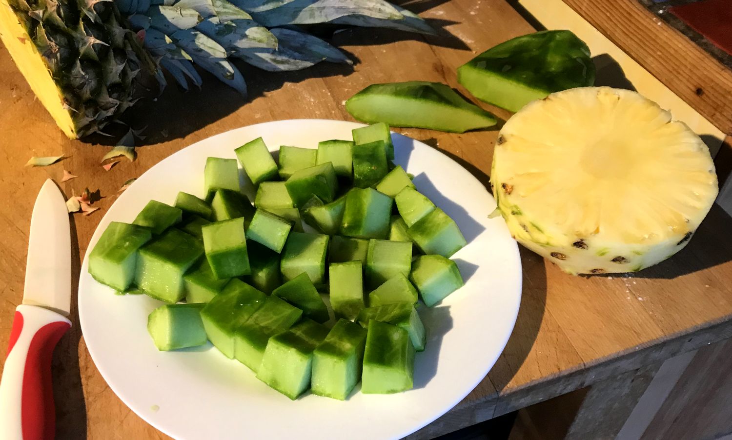 batido de cactus nopal licuado