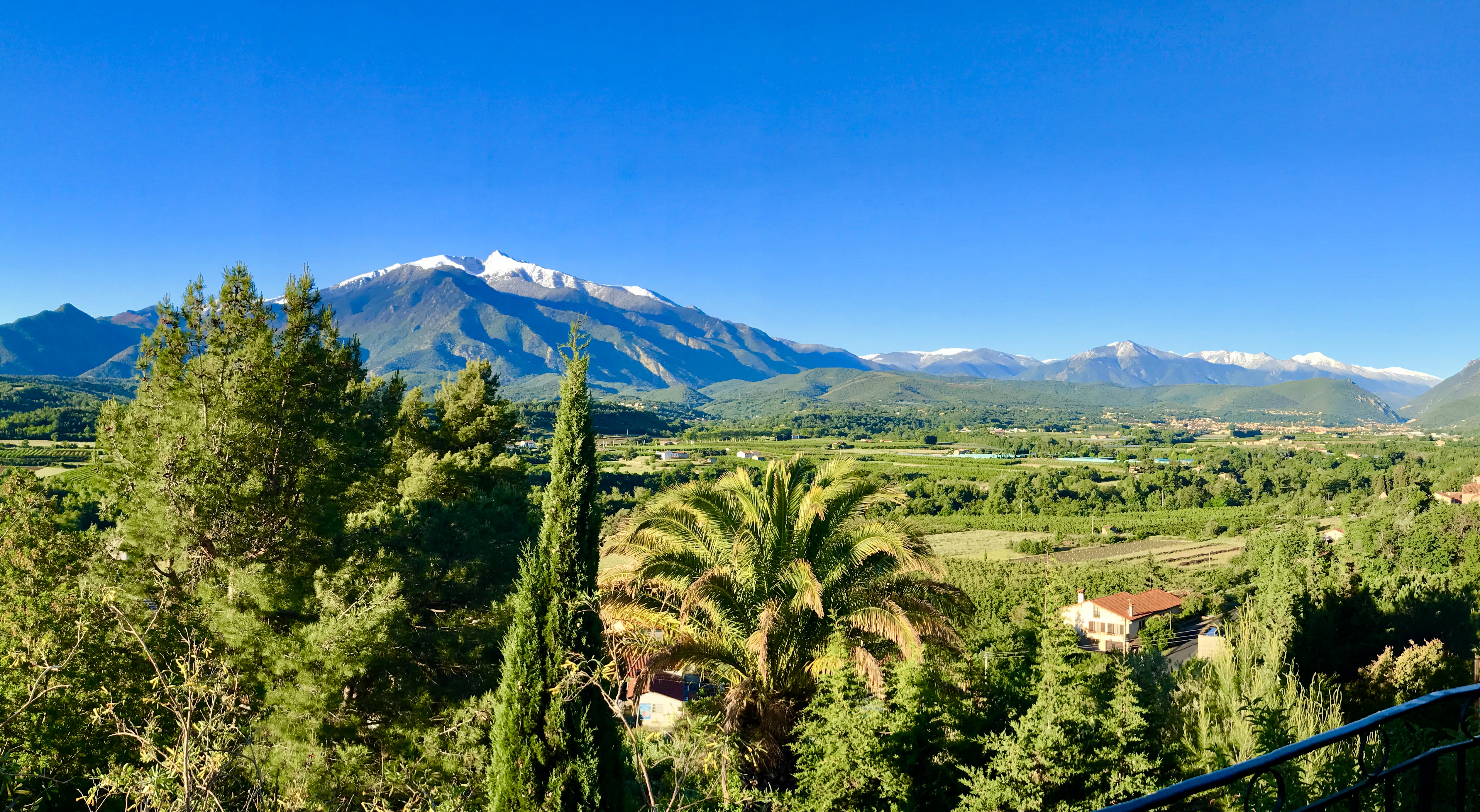 jardin botanique et exotique cactus EUS