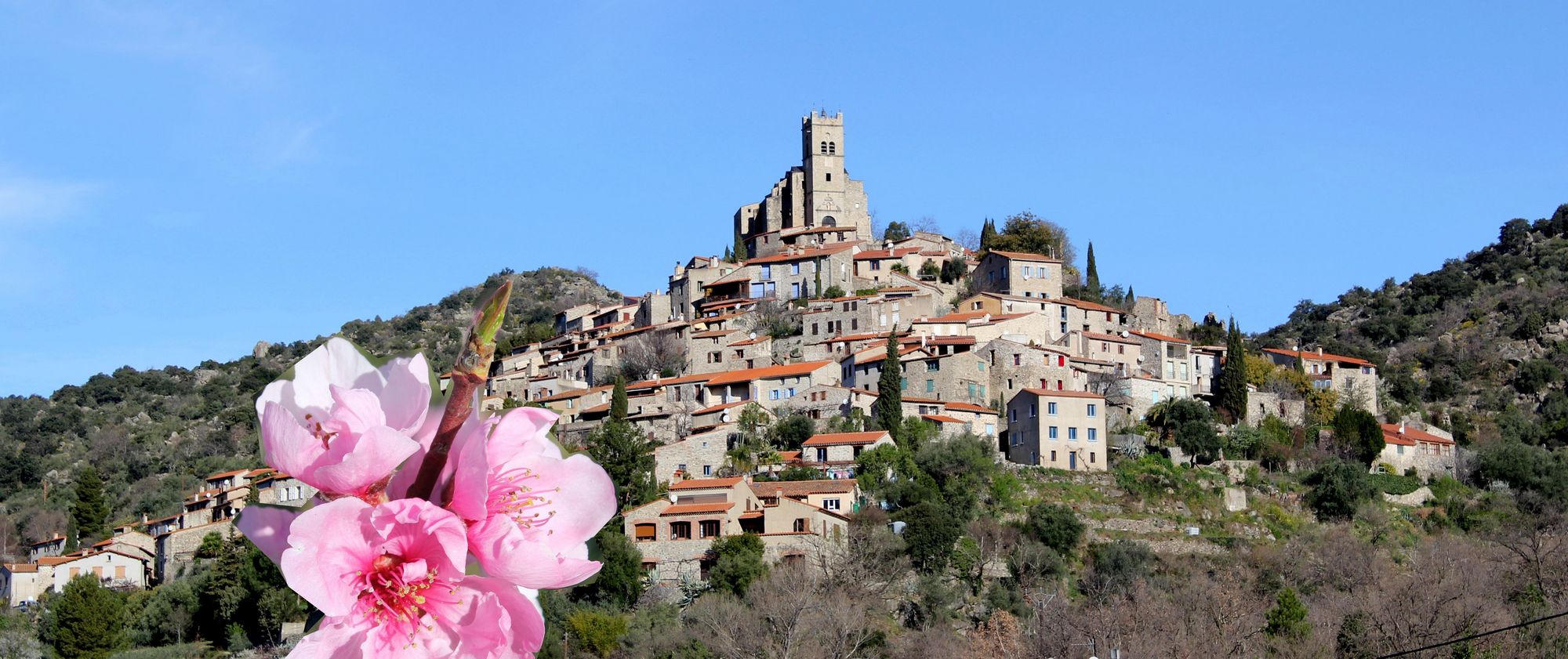 Maison hotes entre Prades et vinça dans village typique traditionnel mas catalan