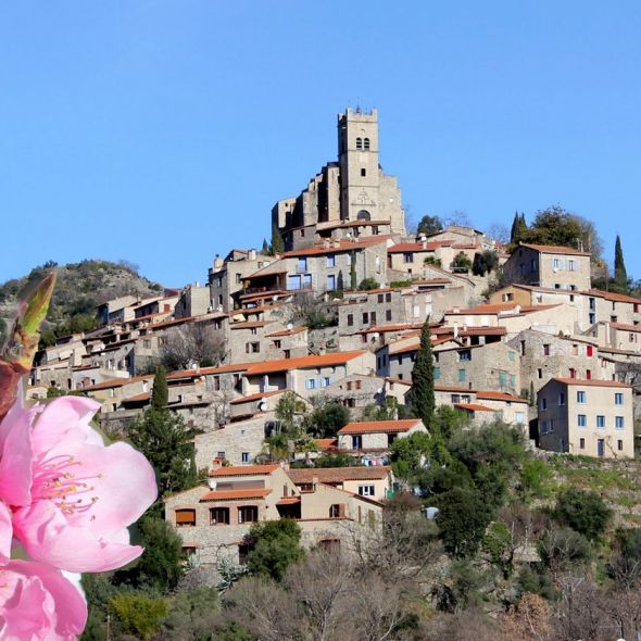 vallée de pêchers en fleur village perché eus 66