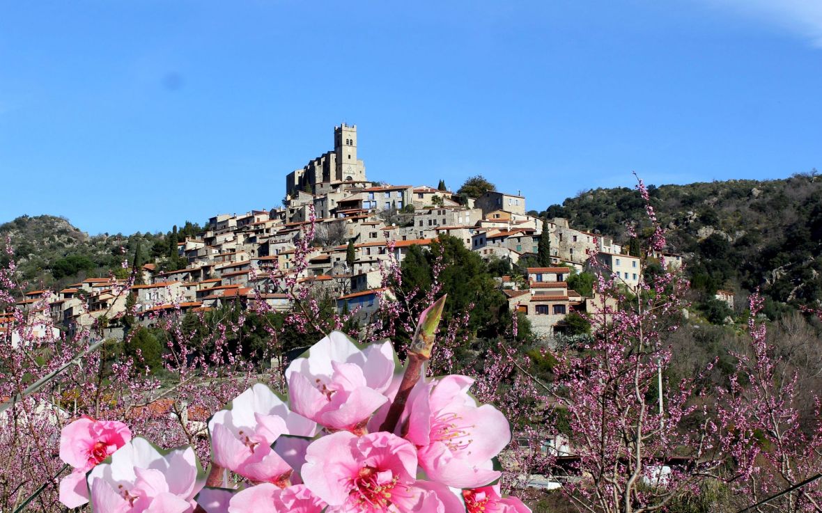 vallée de pêchers en fleur village perché eus 66