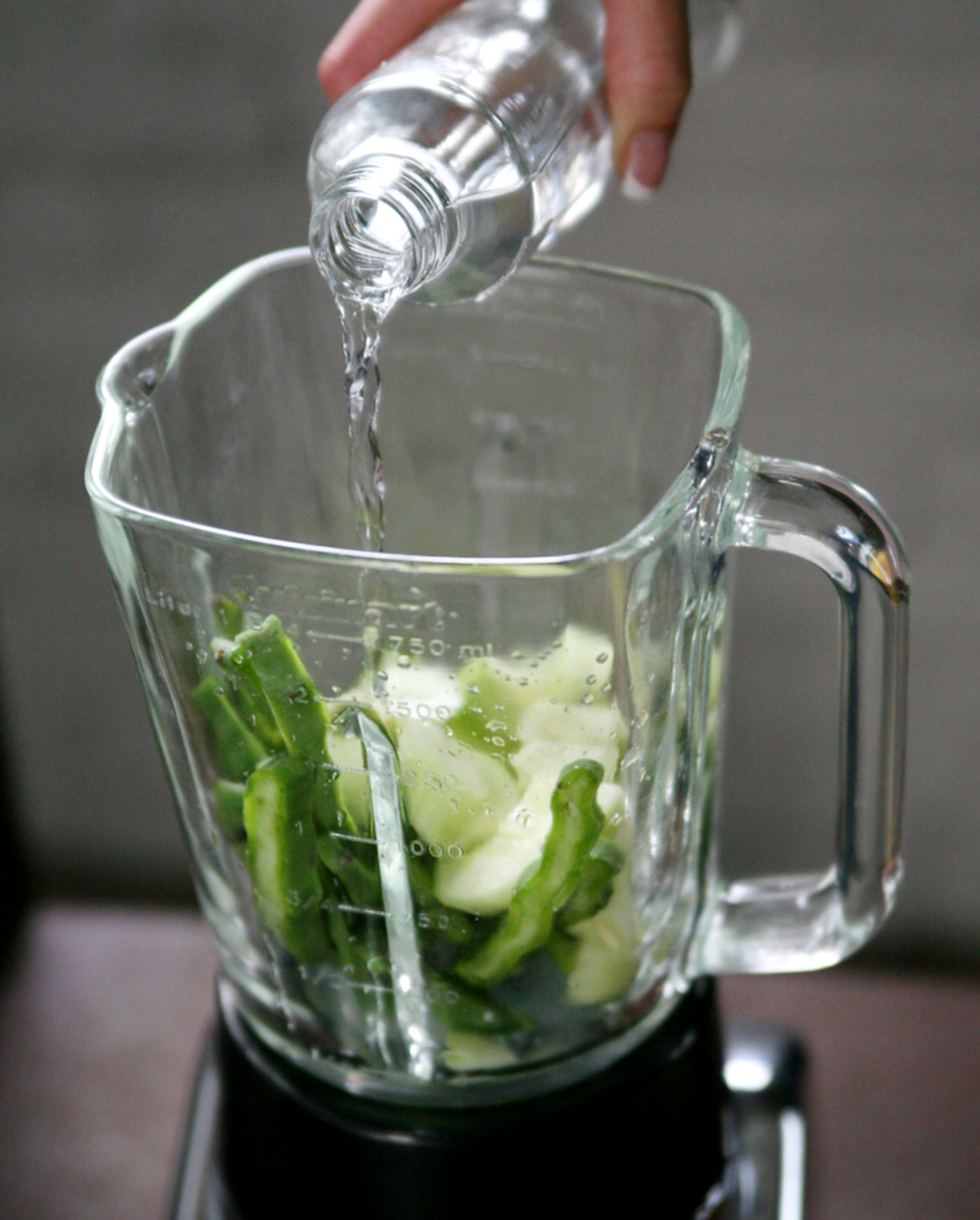 blender mixeur smoothie ananas cactus nopal