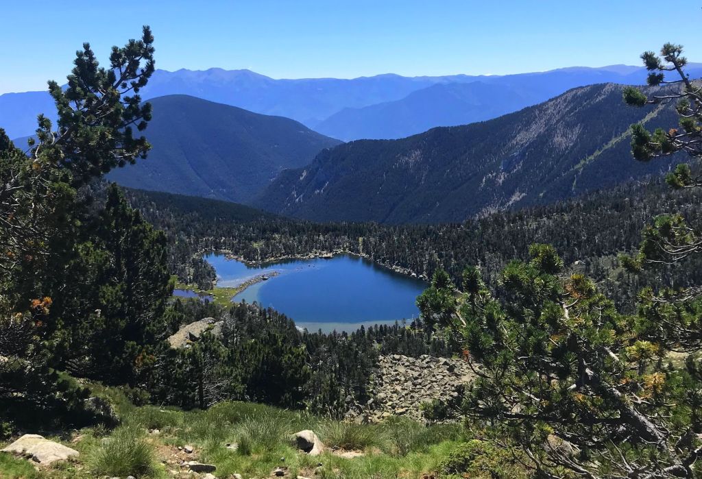 gorg encantades fée evol