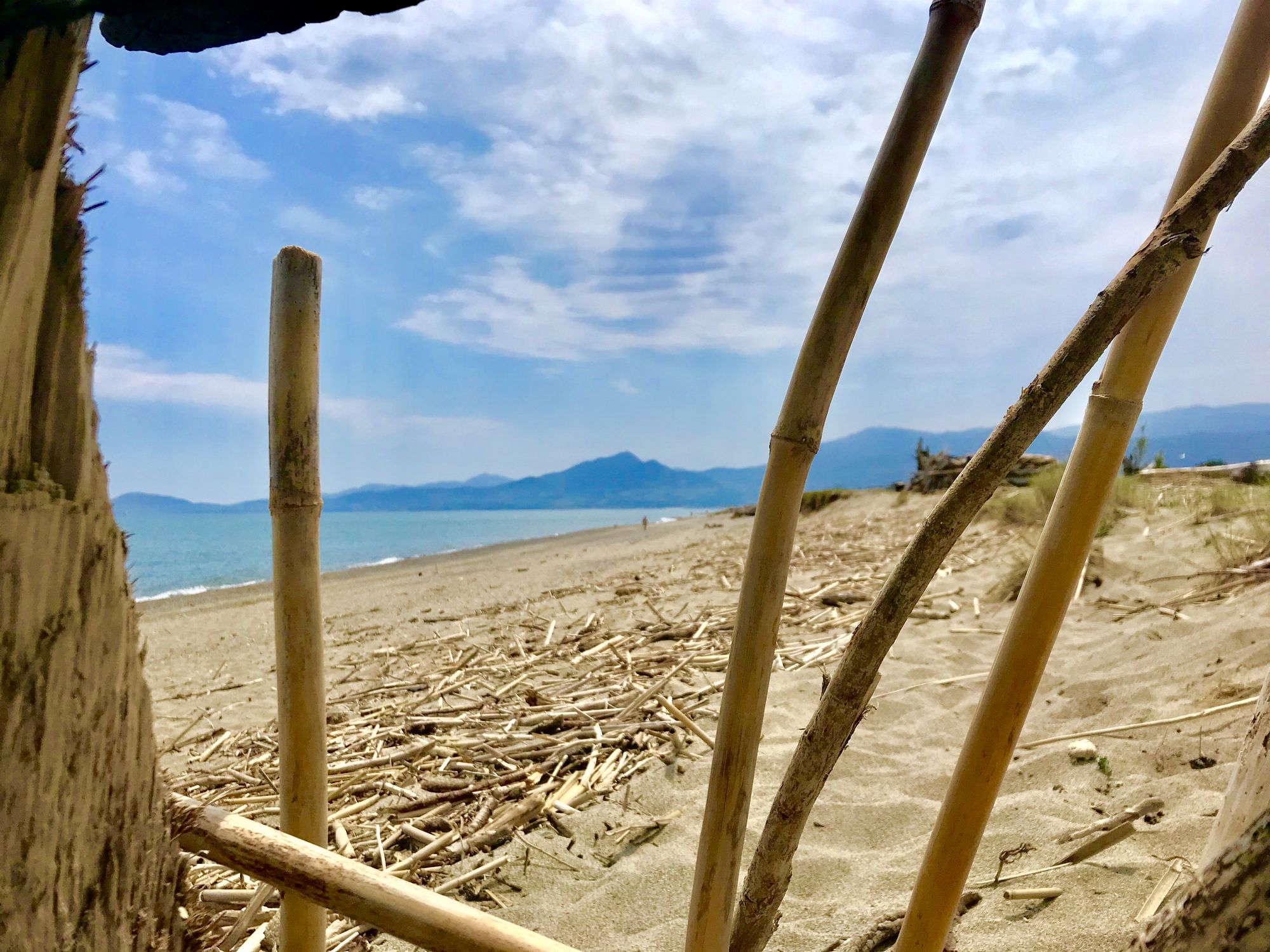 cabane en bois flotté du tech bocal plage naturiste libertine argeles