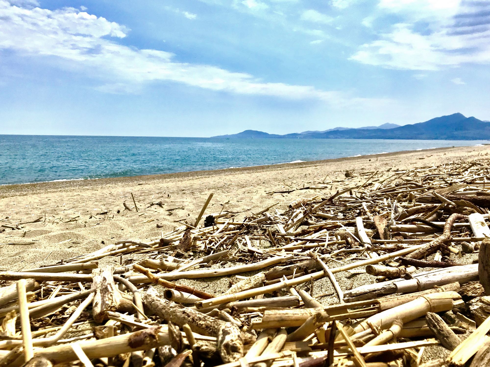 ou chercher du bois flotté plage deserte