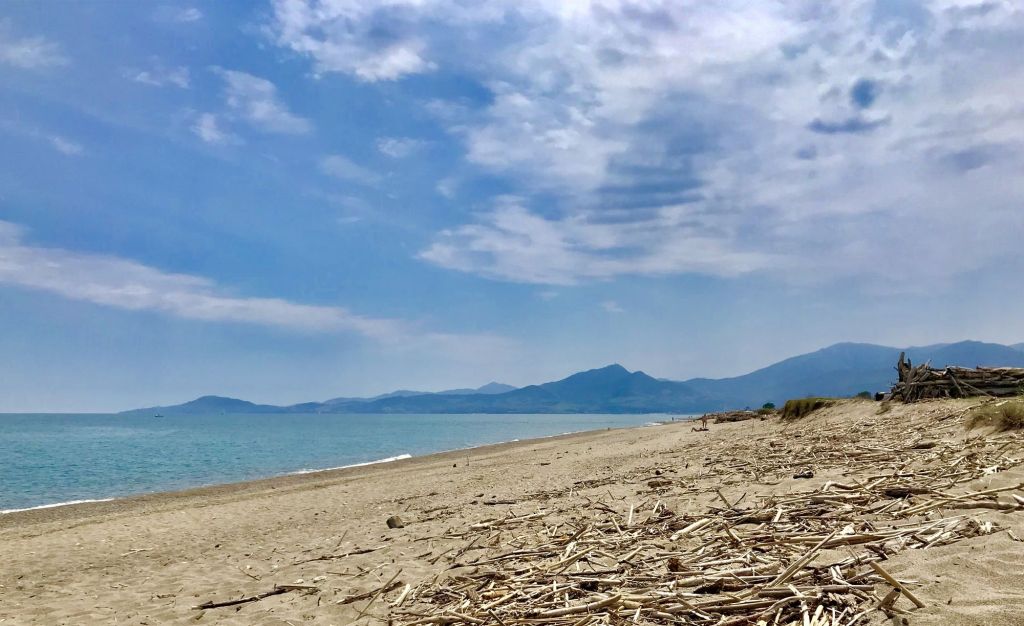 plage nature et naturiste bocal du tech bois flotté du tech proche de perpignan et argeles