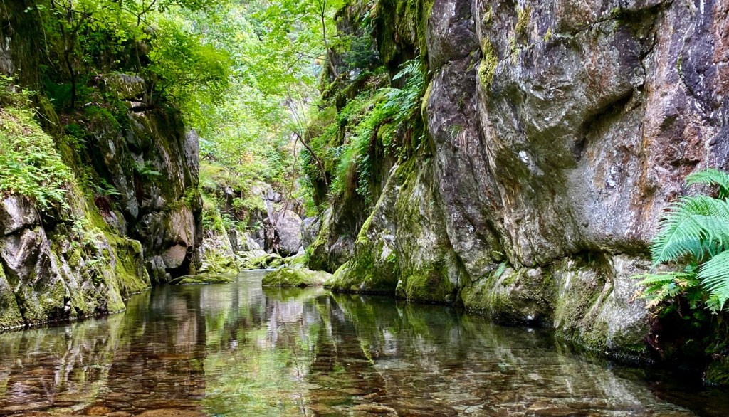 fraicheur des gorges baignade canigou canyon cascade