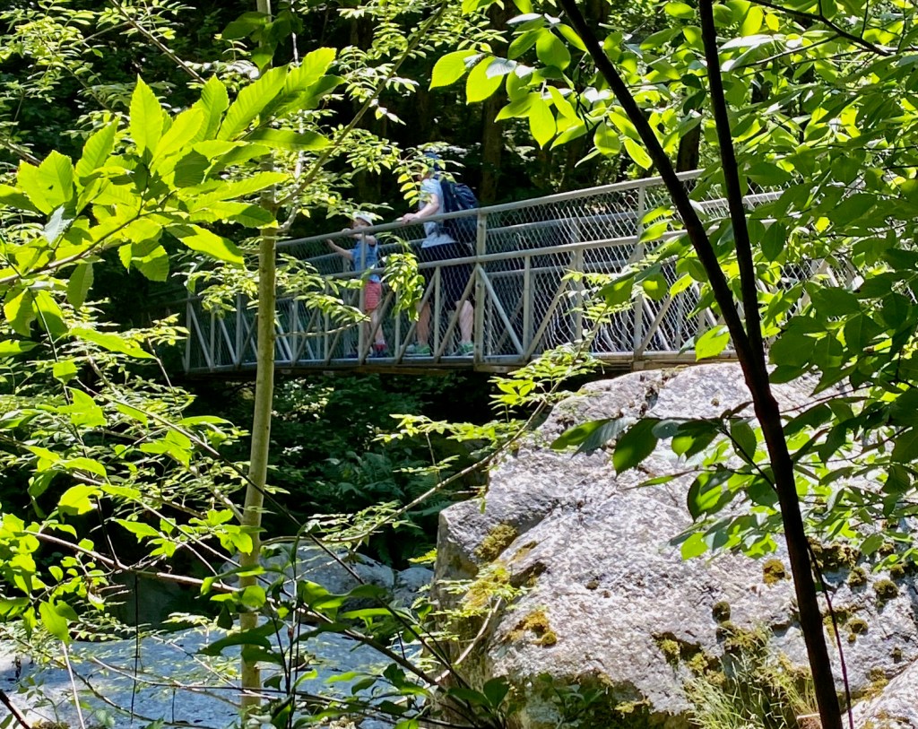sentier pont de singe passerelles cady canigou