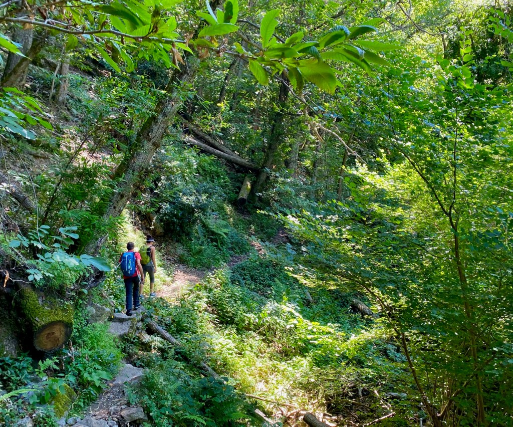 rando facile enfant fraicheur canigou vernet casteil