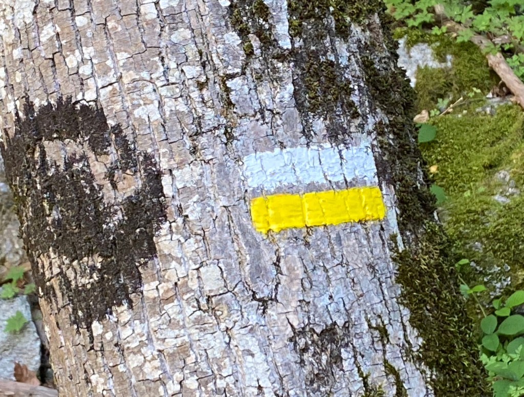 sentier balisé canigou casteil saint martin tour de goa col de jou