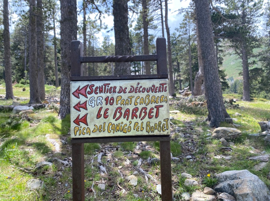 canigou par le barbet en boucle