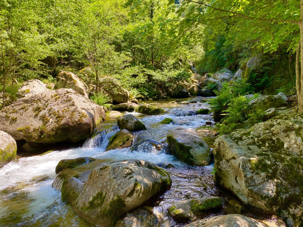 torrent de montagne cady canigou