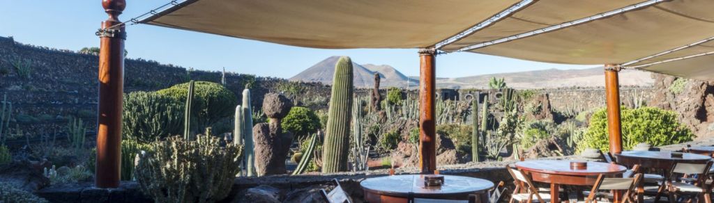 jardin de cactus de lanzarote canaries