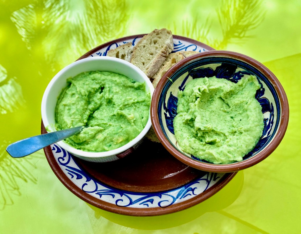 guacamole, recette de guacamole sans avocat cactus nopal