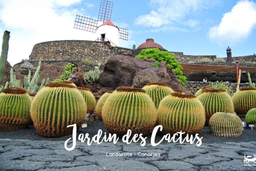 jardin botanique et exotique lanzarote canaries roadtrip