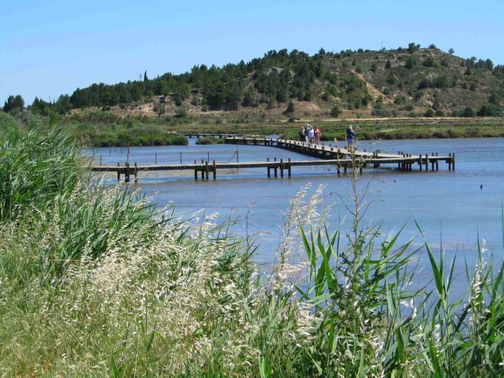 le ponton de payriac de mer périac aude littorale méditerrannée tout le bleu du ciel mélissa da costa