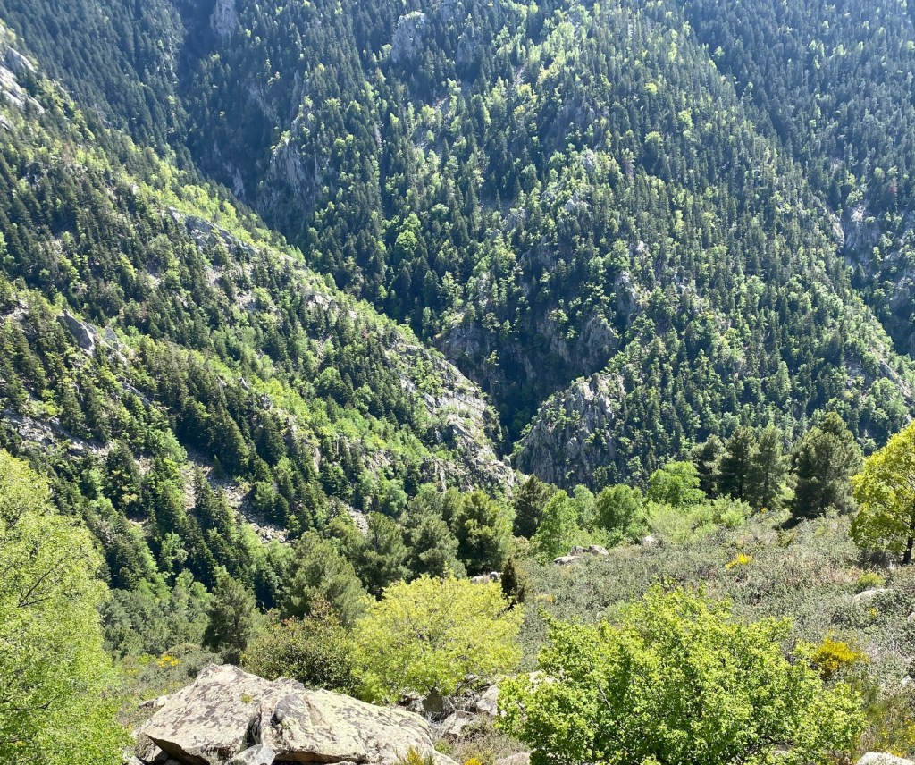 gorges et son fameux canyon tès sportif du Saint Vincent - massif du Canigou