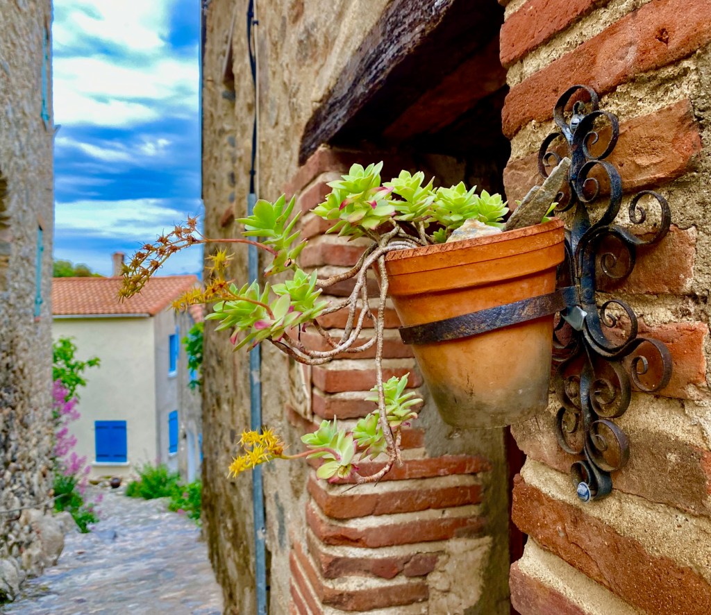 ruelle vegetalisee village sud