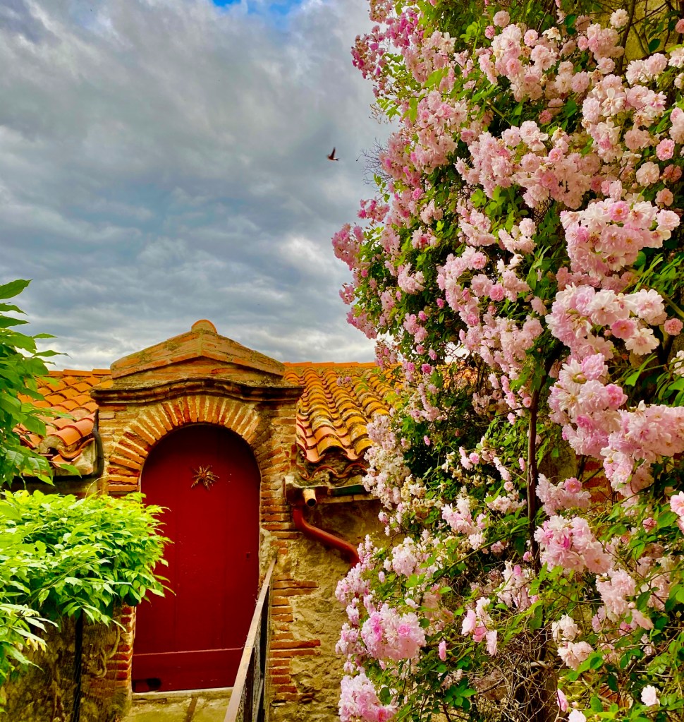 ruelle fleurie village typique sud de france eus 66