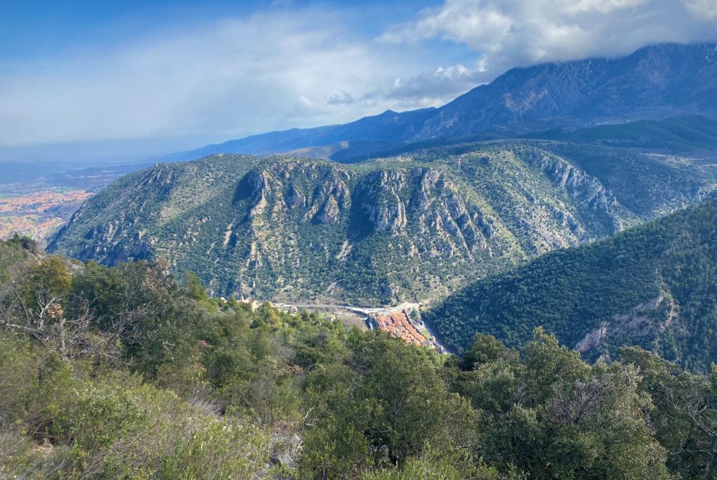 statue gypaete barbu pyrenees orientales madres villefranche de conflent