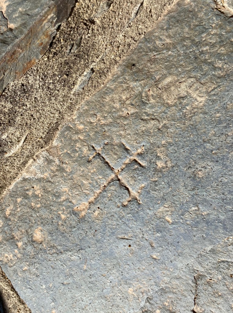 roche gravée evol nohedes coronat